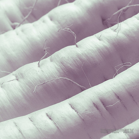 Parsnip 1.