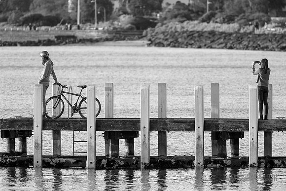 Pier Reviewed Two.