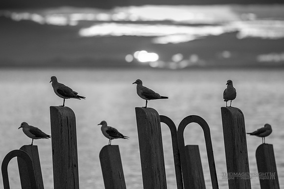 Pier Reviewed Four.