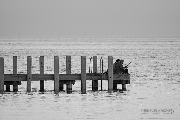 Pier Reviewed Eight.