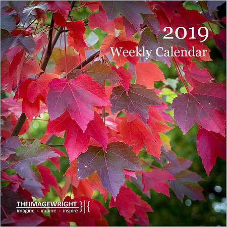 Weekly Calendar - 2019.