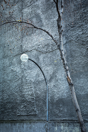 Urban Evolution.