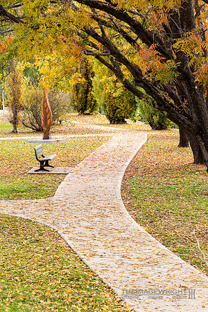 Leaves on a Path.