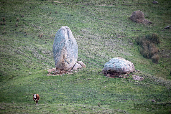 Rocks Around The Clock (1/23).