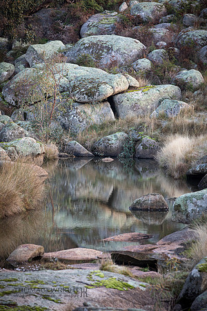 Rocks Around The Clock (8/23).