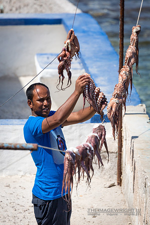 Fried Calamari.