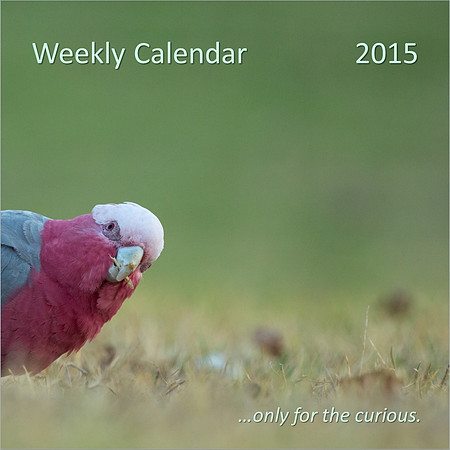 Weekly Calendar - 2015.