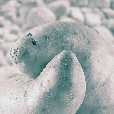 Sweet Potato.